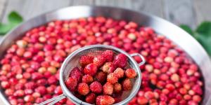 Comment congeler des fraises et des fraises des bois pour l'hiver à la maison : technologie, avantages et règles de conservation Avantages des fraises surgelées