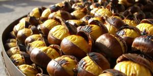 How to properly fry edible chestnuts at home in the oven, microwave, slow cooker, or frying pan?